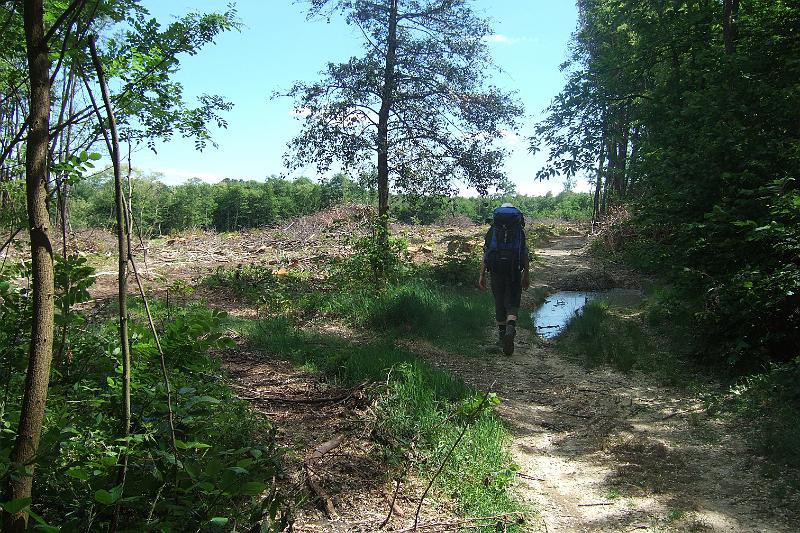 2011-05- (774).JPG